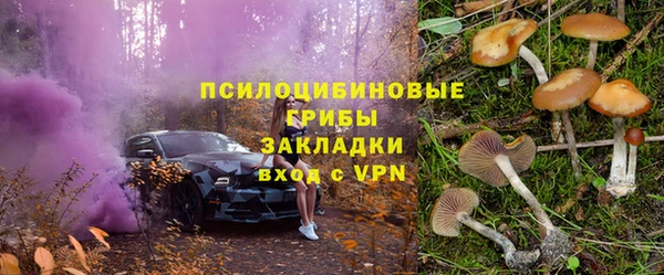 spice Алзамай