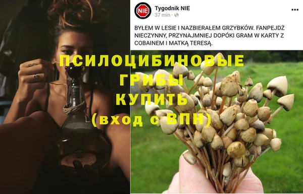 spice Алзамай