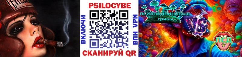маркетплейс как зайти  блэк спрут   Богородицк  Галлюциногенные грибы Magic Shrooms 